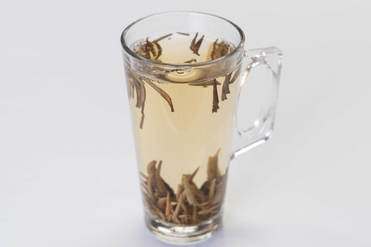 Hot Tea (16 oz)