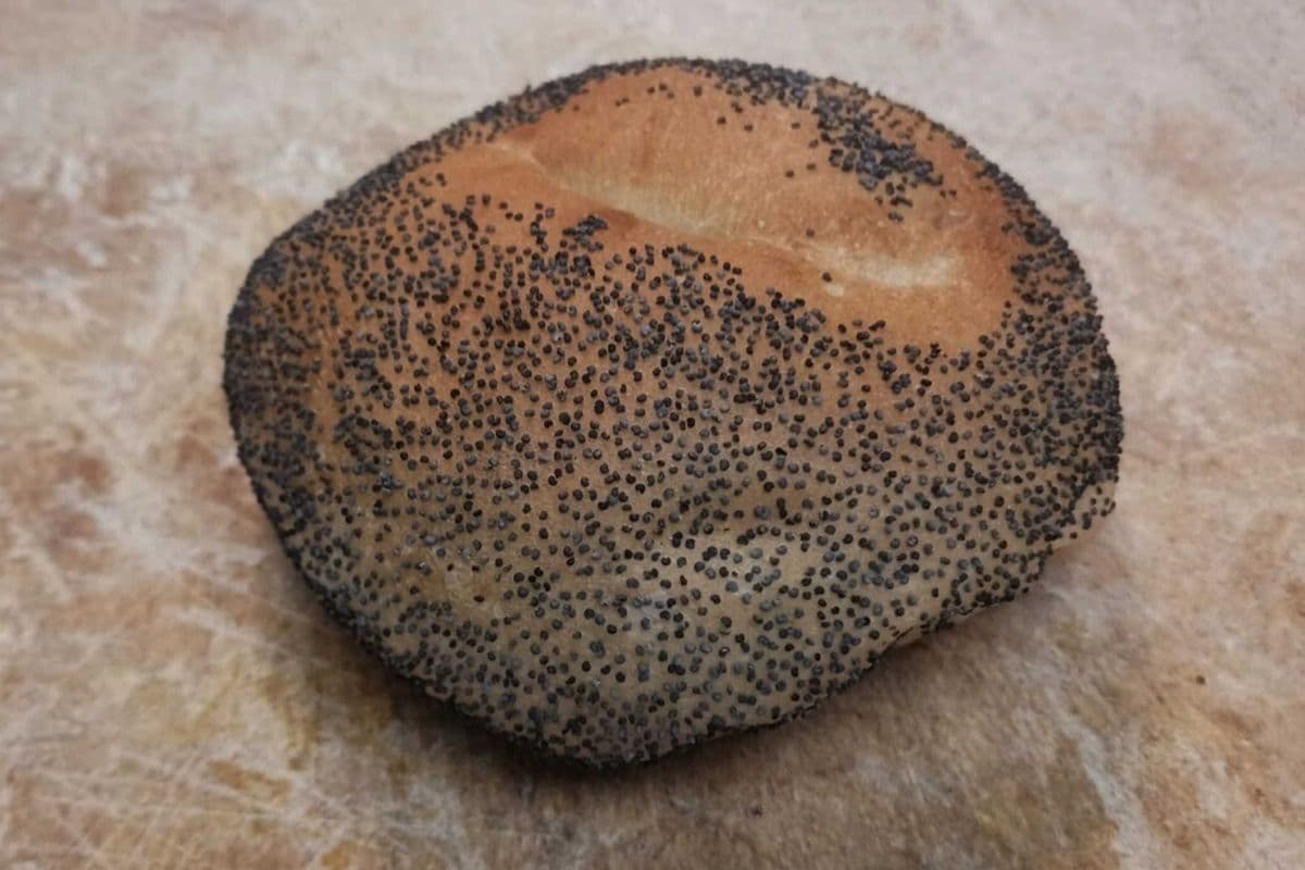 6 Pack Poppy Seed Bagels