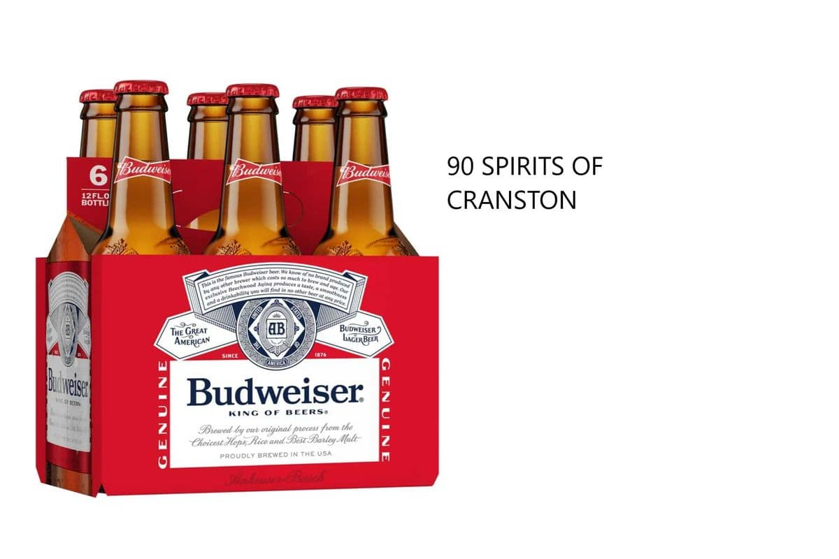 BUDWEISER 6 BOTTLES (1 x 6x341ML)