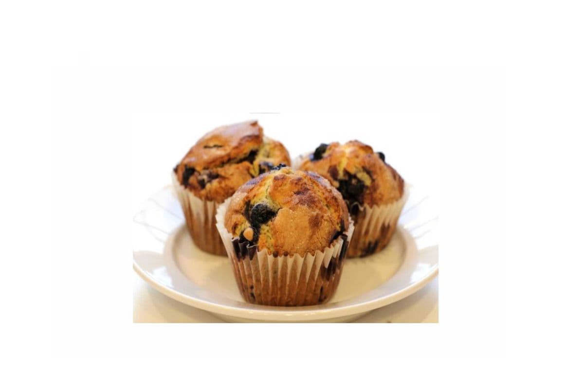 Blueberry Muffin