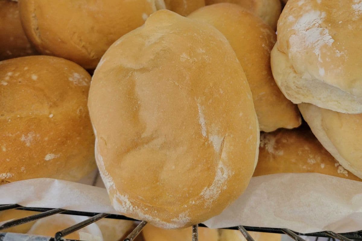 Portuguese Bun