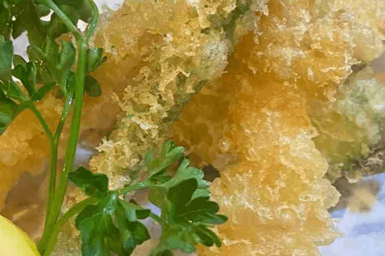 Appetizer Tempura (5 pcs)