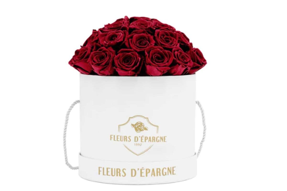 Prestige Rose Bucket