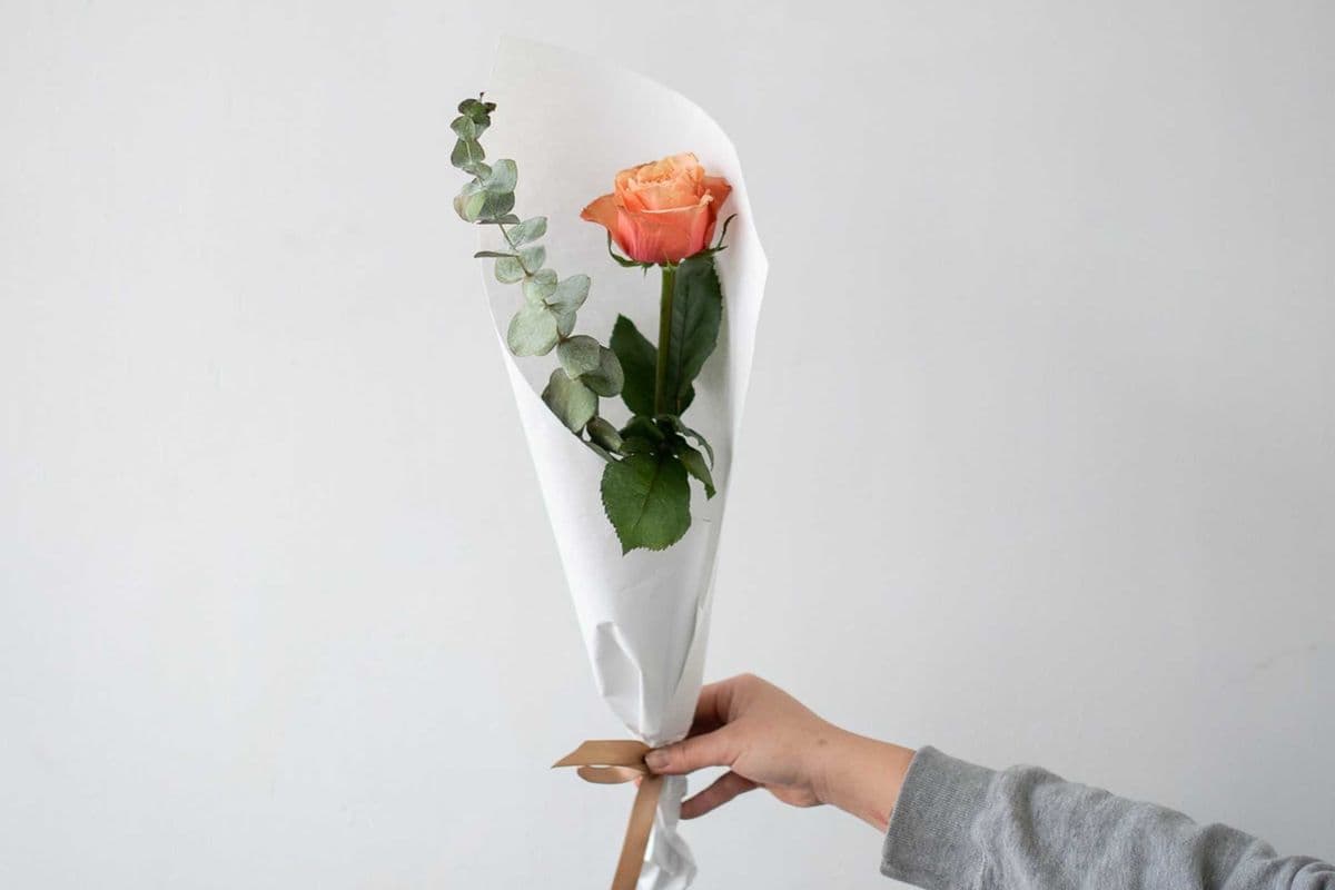 Single Rose with Garnish