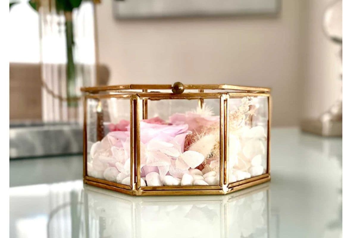 Fairytale Hexagon Terrarium