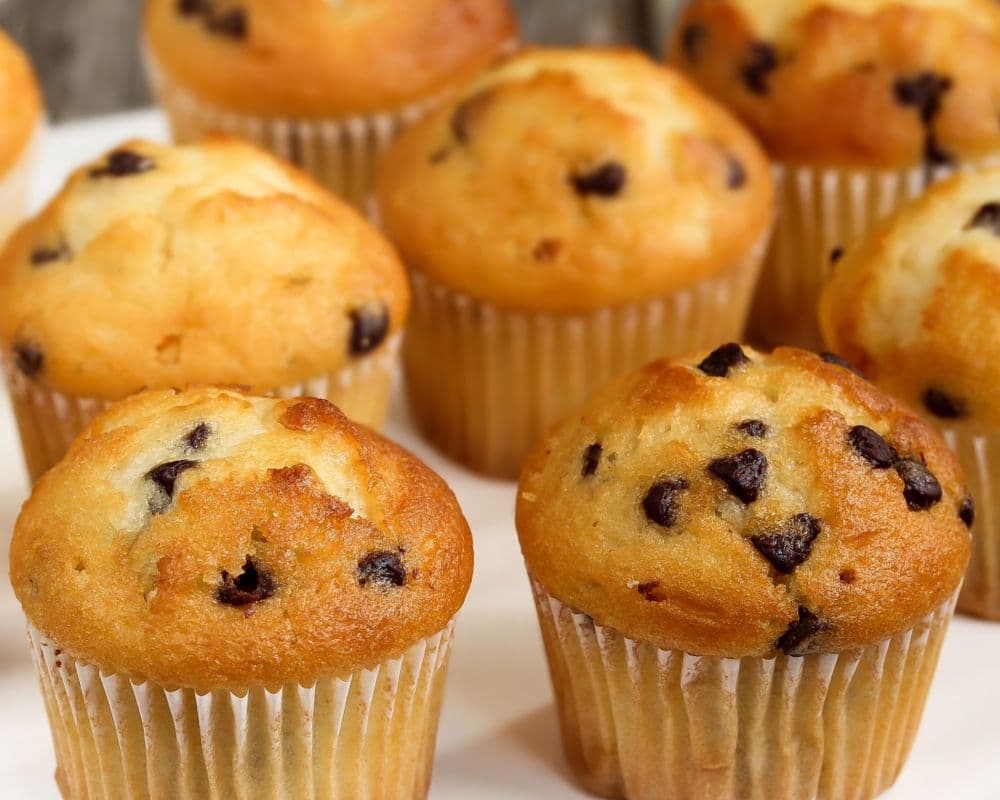 Keto Chocolate Chip Muffins