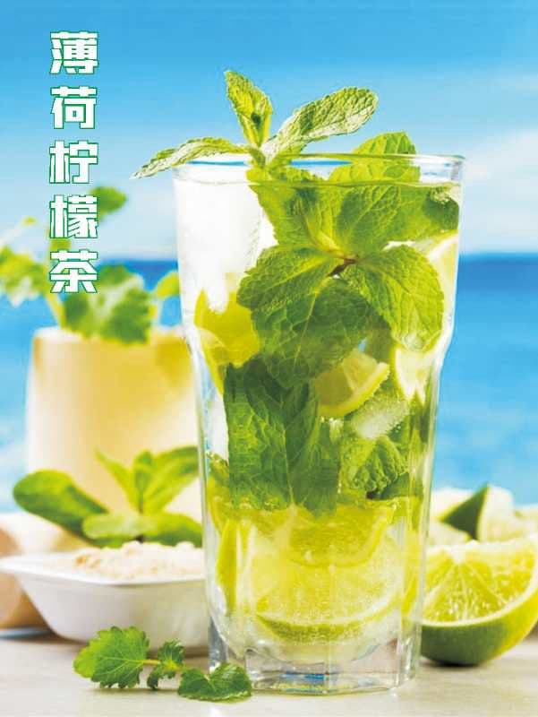 Mint Lemon Tea / 薄荷柠檬茶