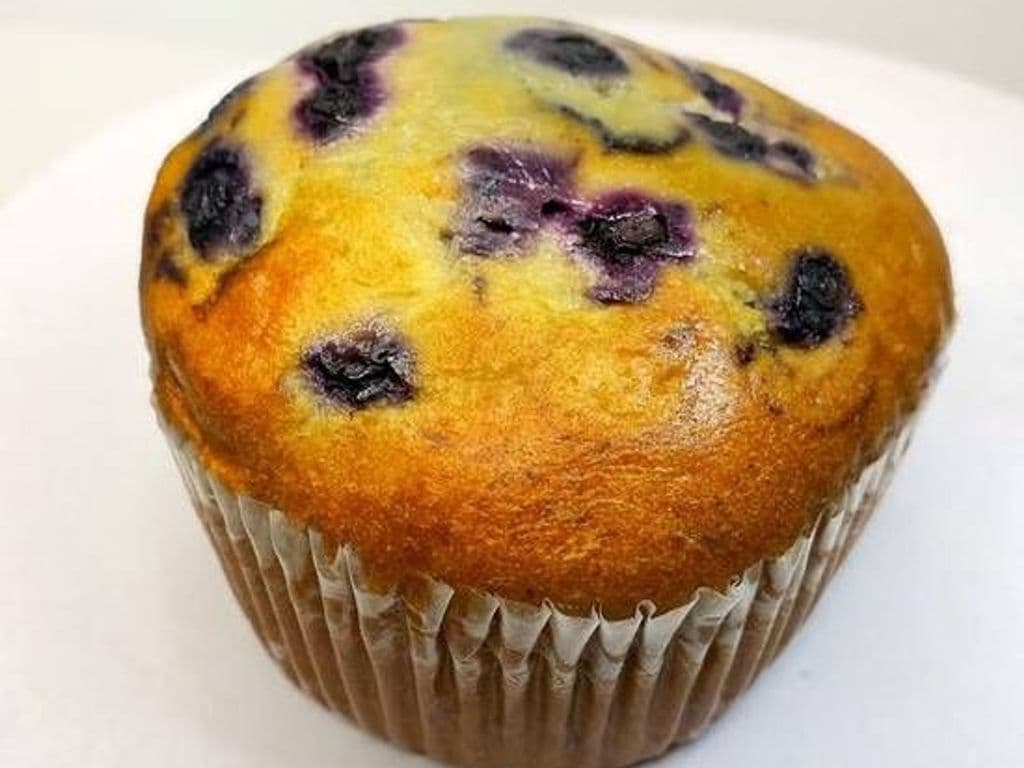 Blueberry Muffin