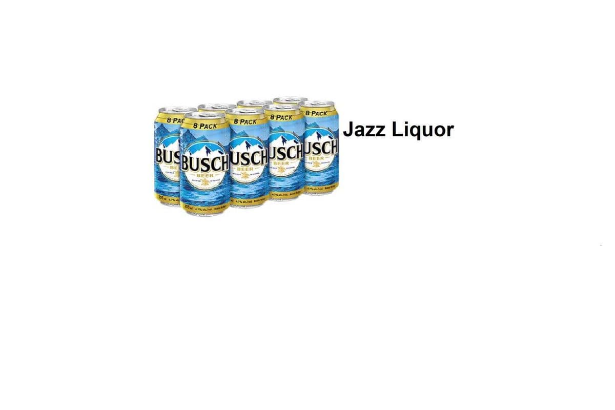 BUSCH 8 CANS (1 x 8×355ML )