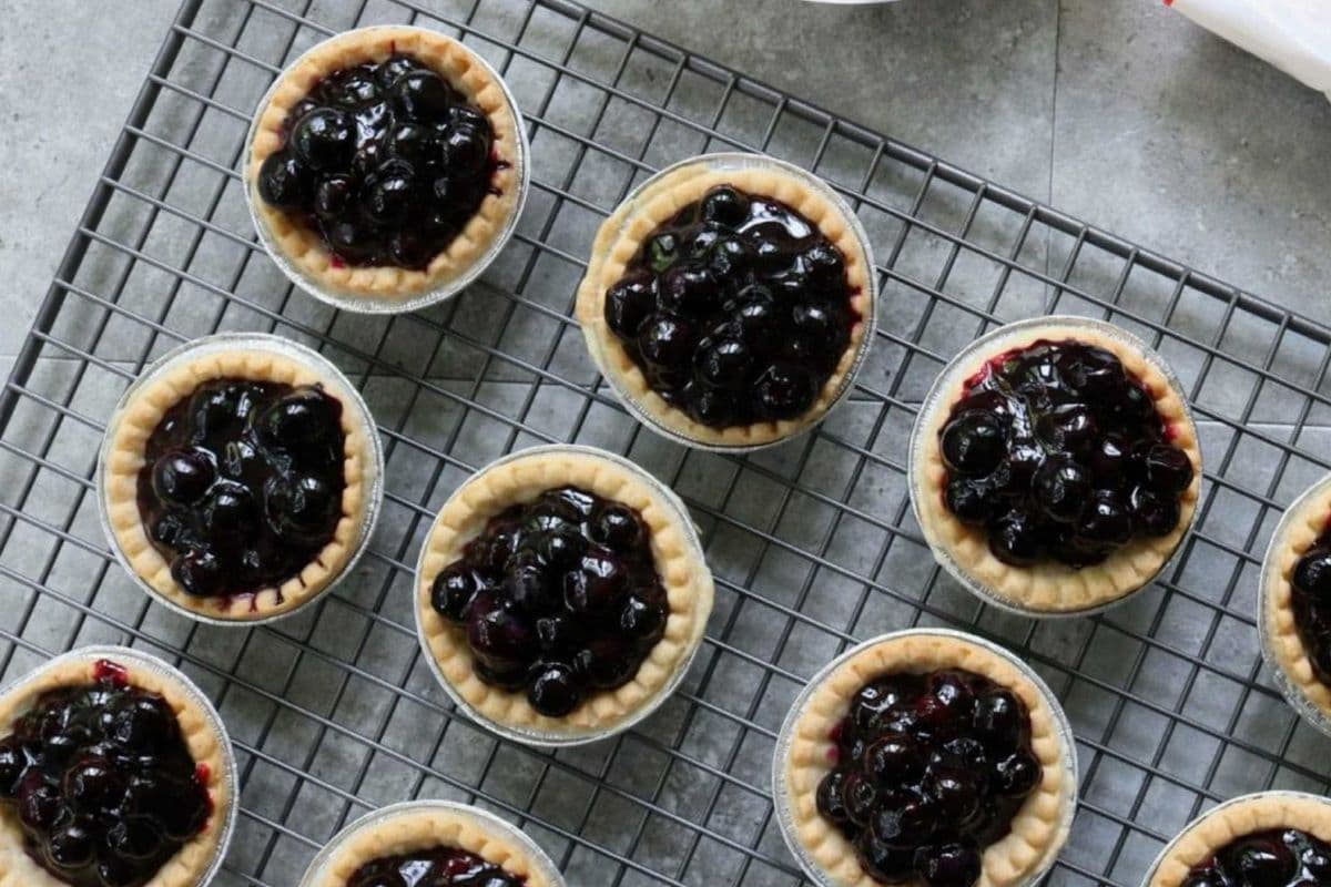 Saskatoon Tart