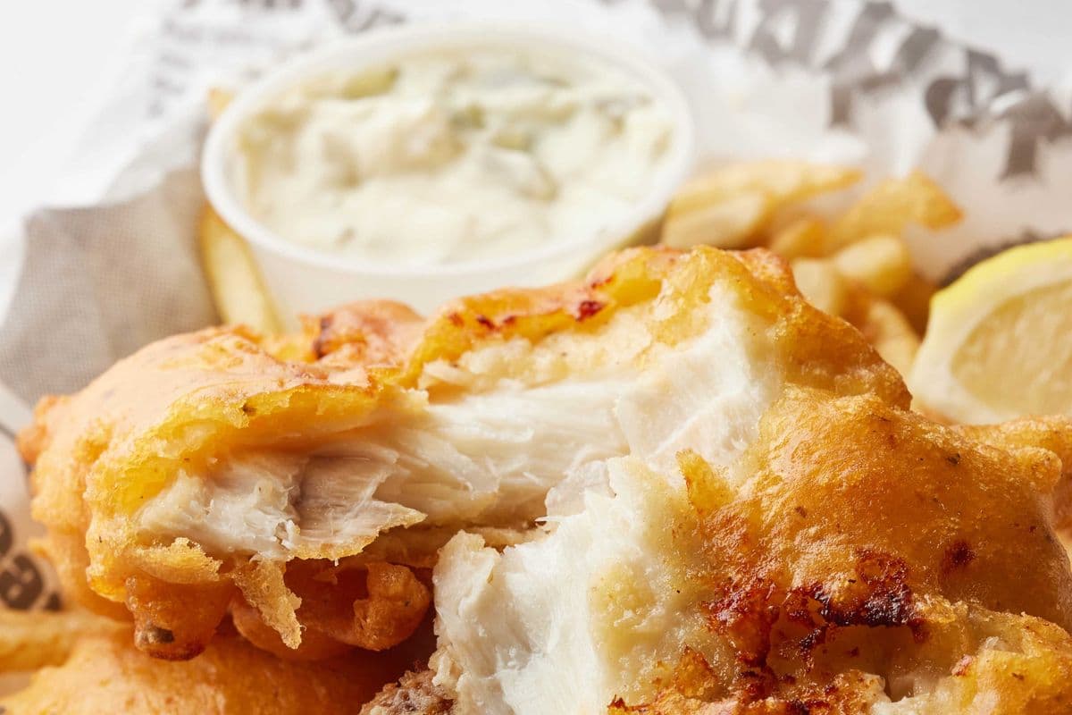Haddock