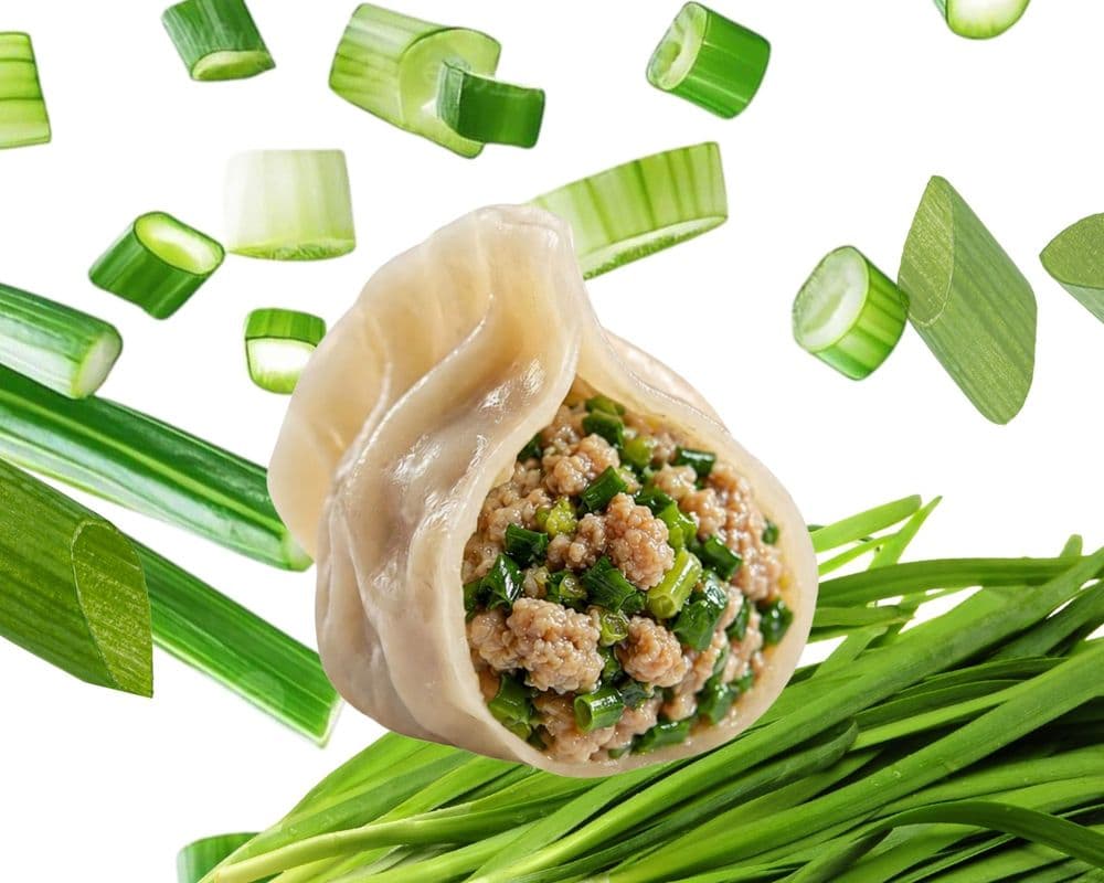 26.Pork & Chive Dumpling / Porc et Poireau Dumpling