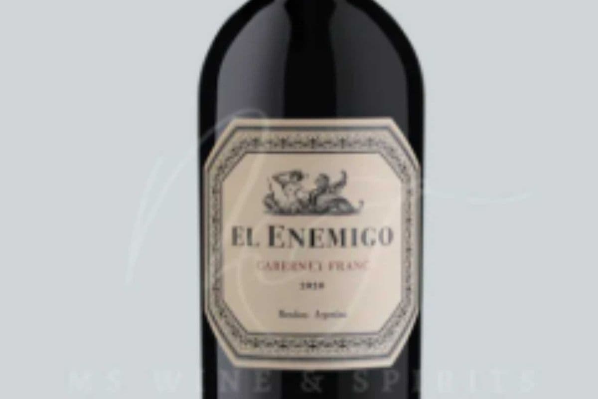 El Enemigo Malbec (1 x 750ml)