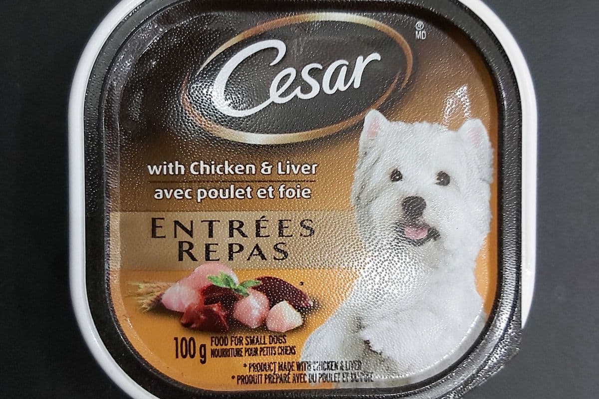 <Chats et Chiens> César avec poulet et foie / with chicken and liver