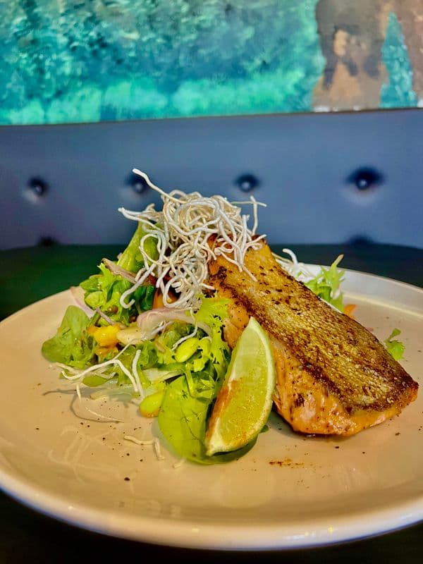 Chipotle Mango Salmon Salad With Brie Naan