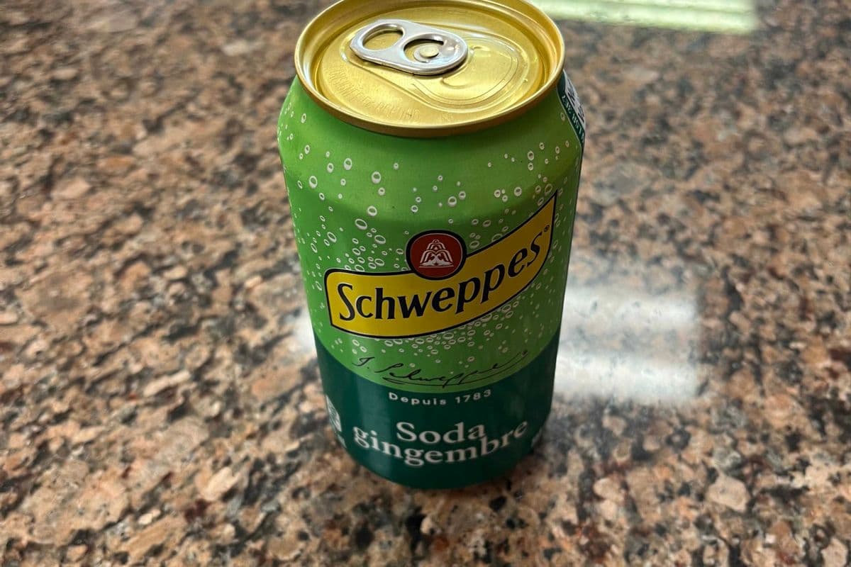 Canada dry (355ml)