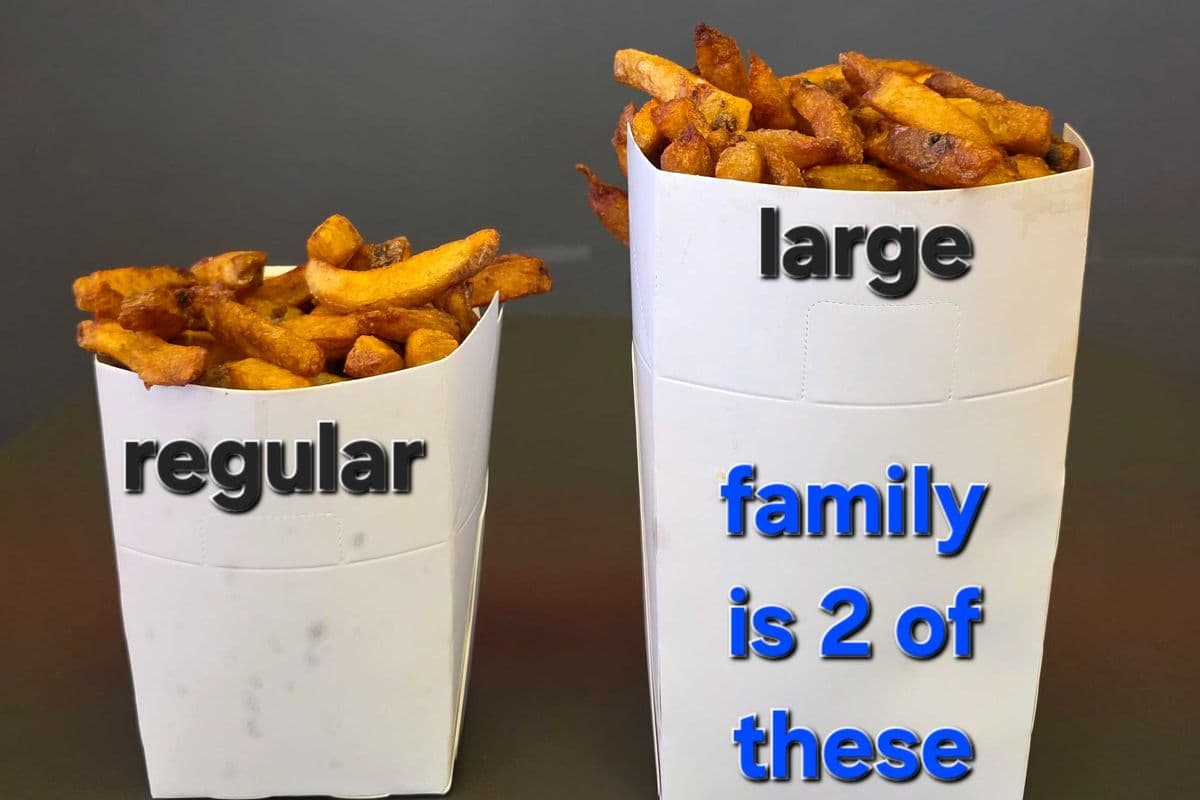 Large Size Fries