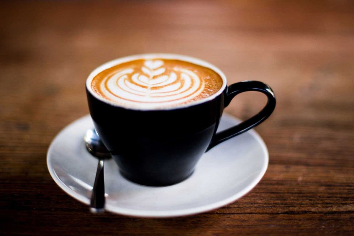 Cappucino (moyen)