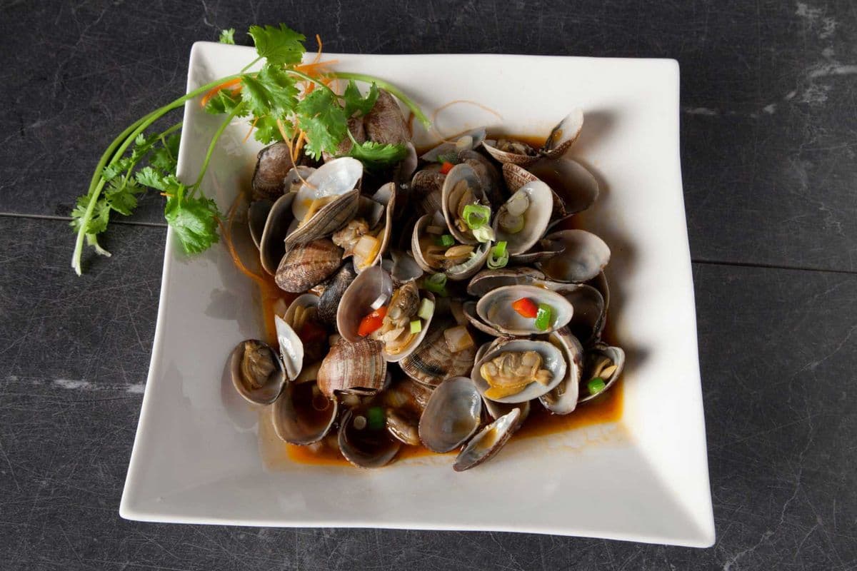 Clams in Red Chilli Oil 紅油淋海蜆
