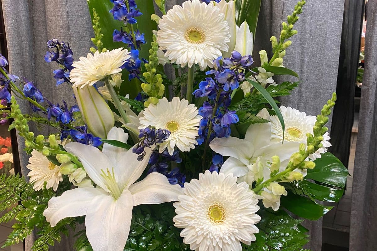 Blue Joy