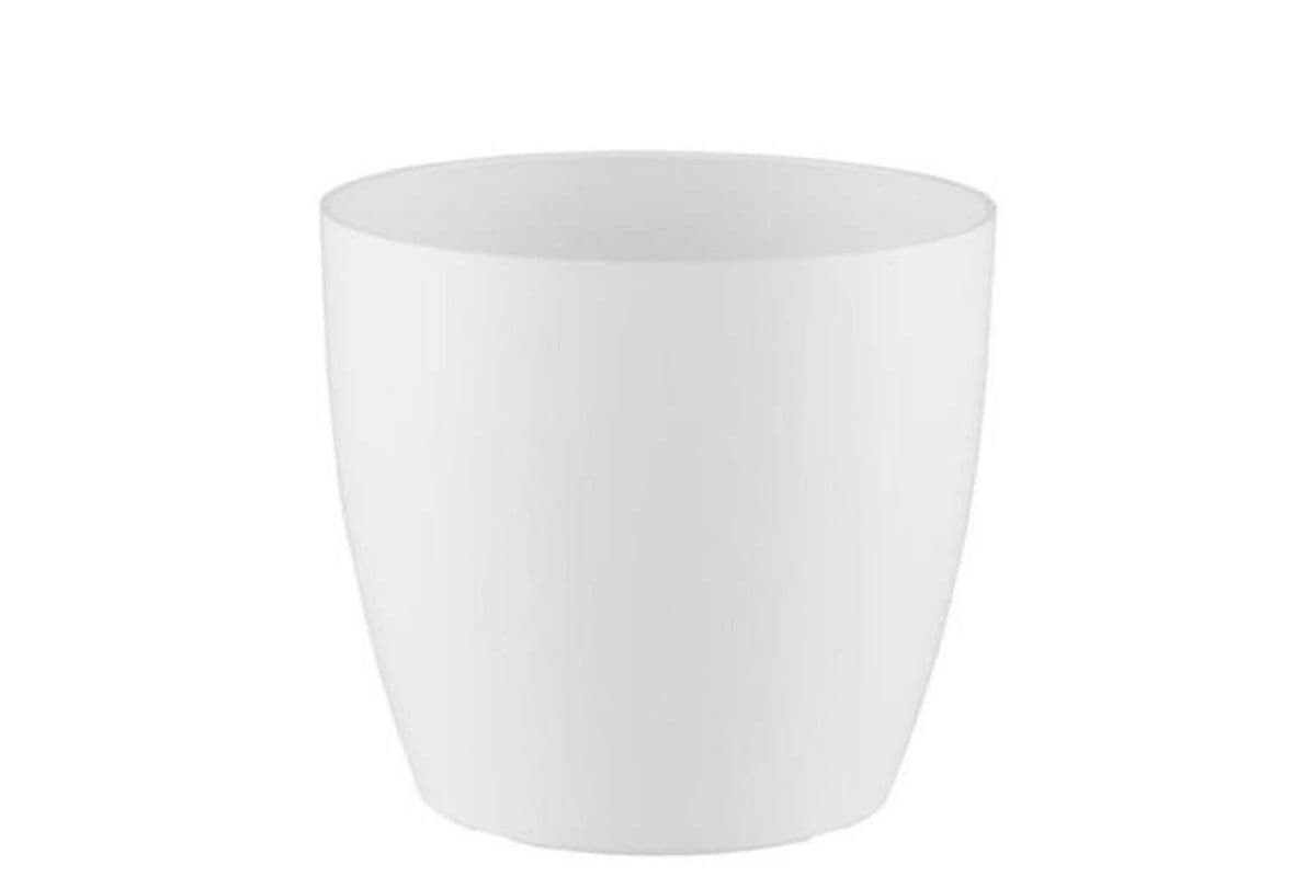 Pot for Orchid