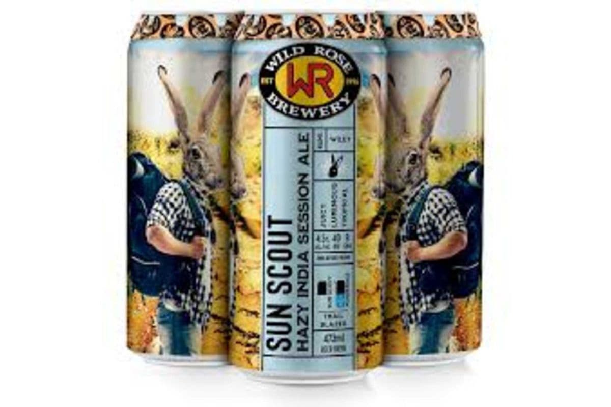 Wild Rose Sun Scout (4 x 355 ml Cans)