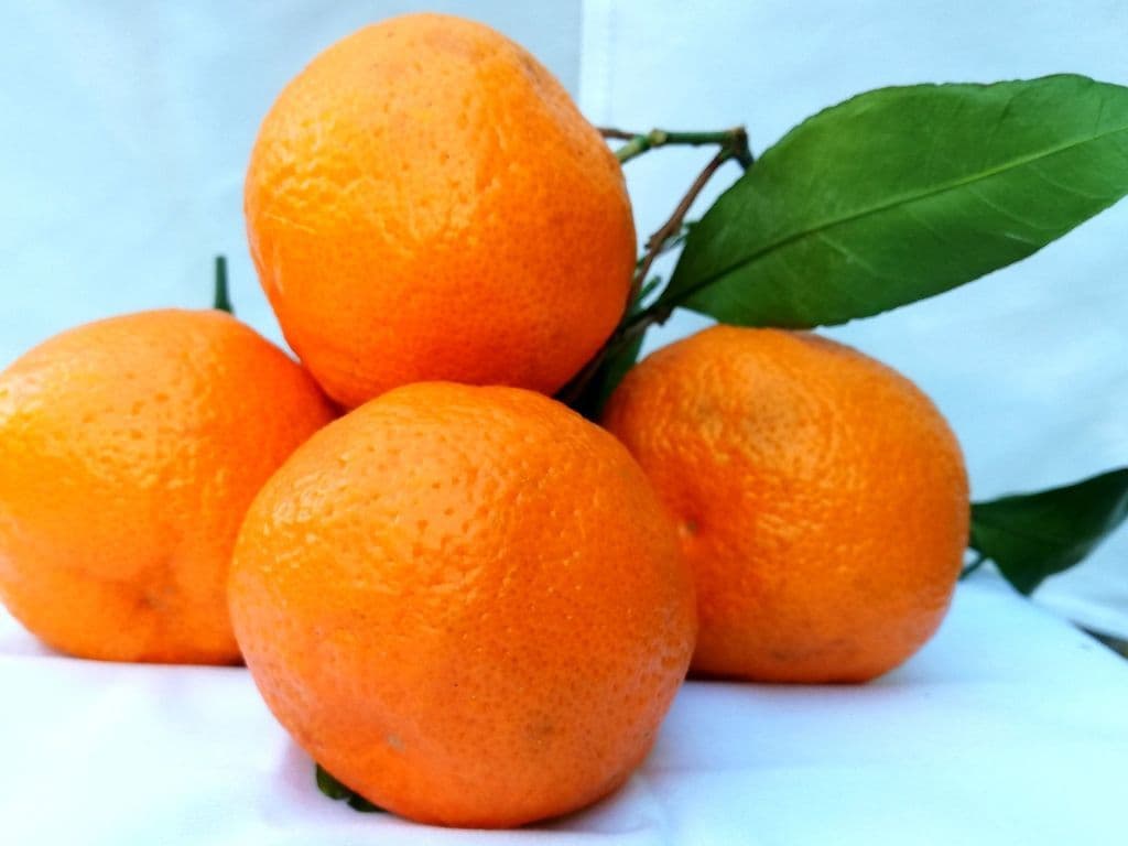 ( SUPER SWEET) Mandarin with Leaves (2 lb Bag)