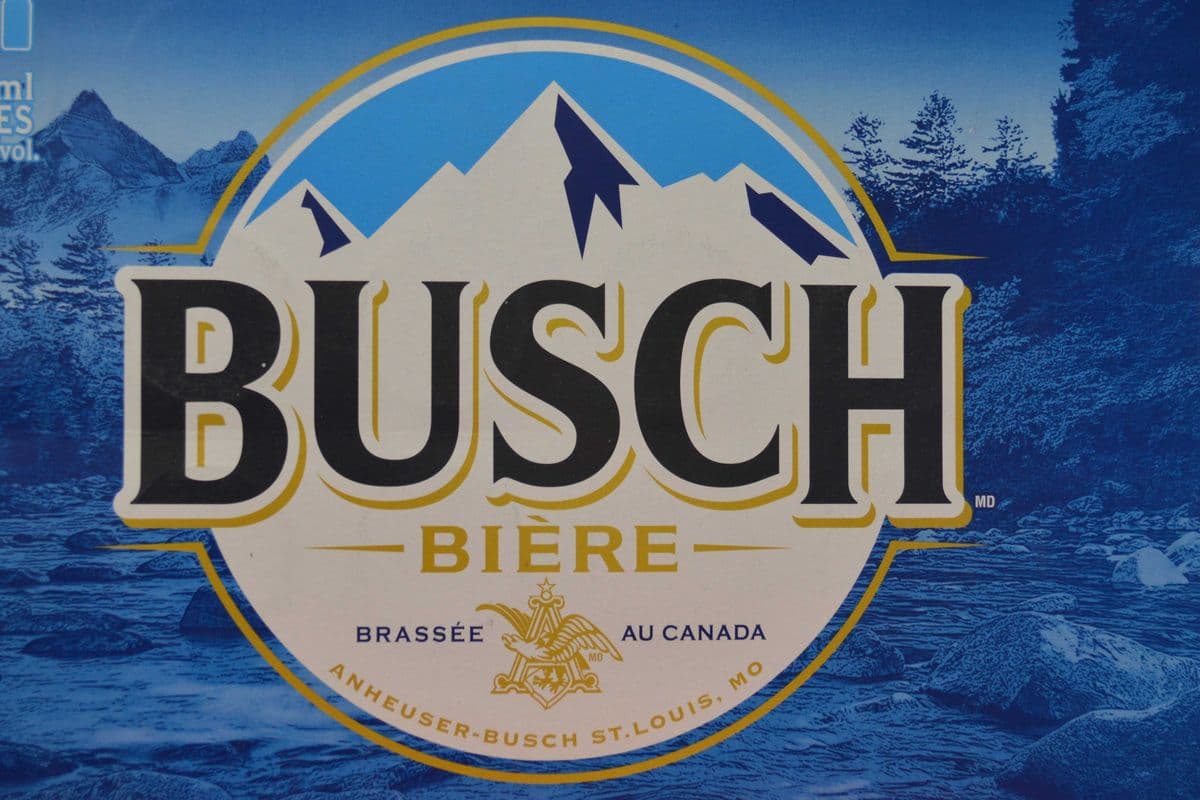Busch Lager Beer (15 x 355 ml) (1 x 355)