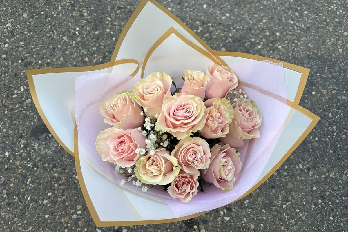 Premium Dozen Roses Special - Blush