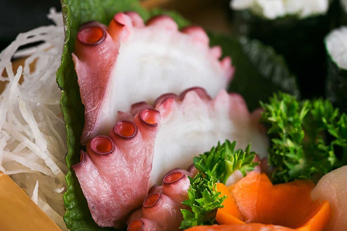 Tako Sashimi