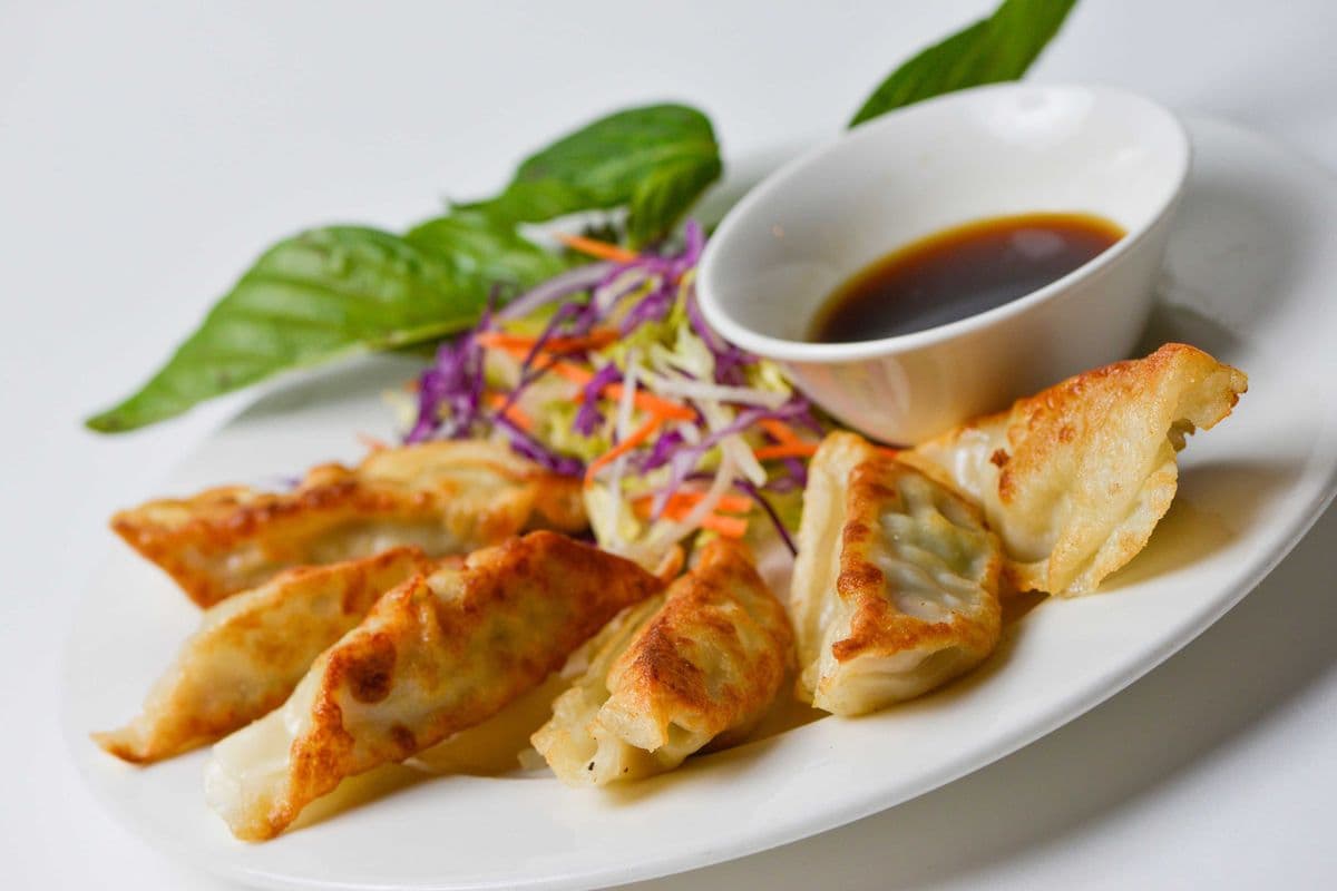 7. Deep Fried Pork Dumplings (6 Pcs)