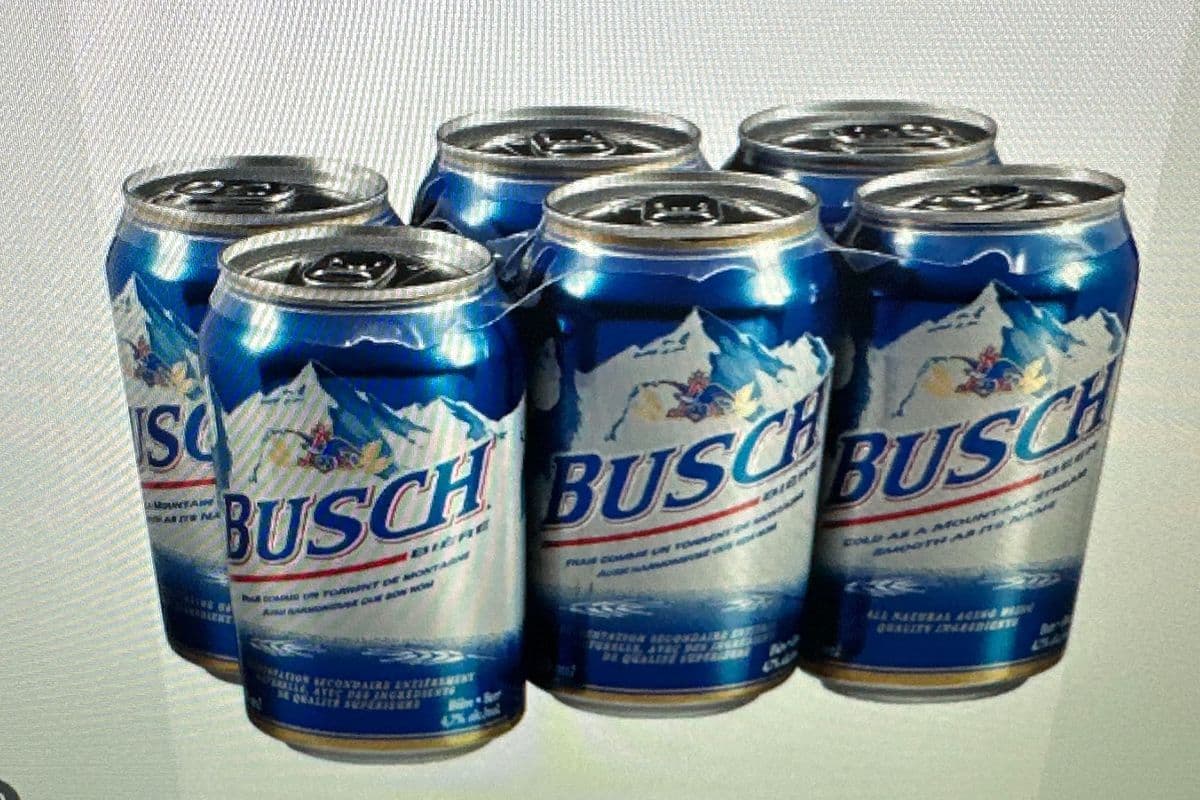 Busch Beer 6 can (6 x 355 ml)
