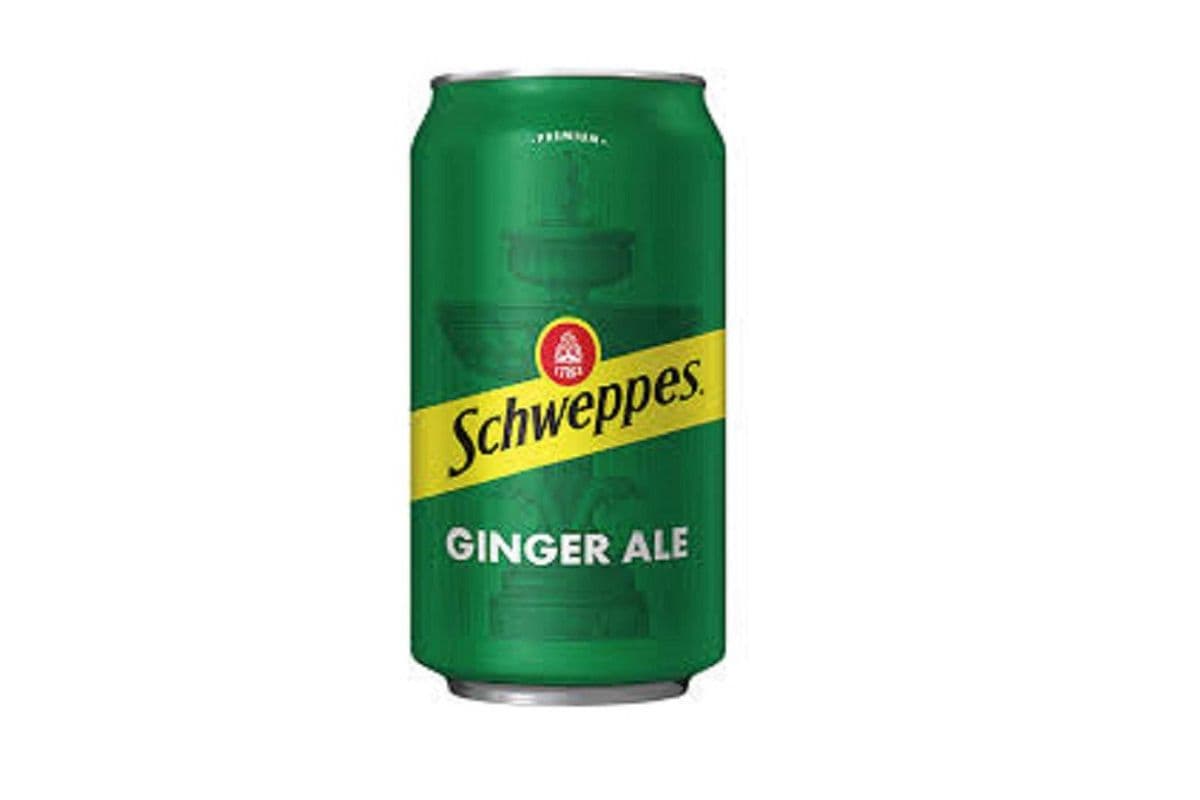 Gingerale Can (355ml)