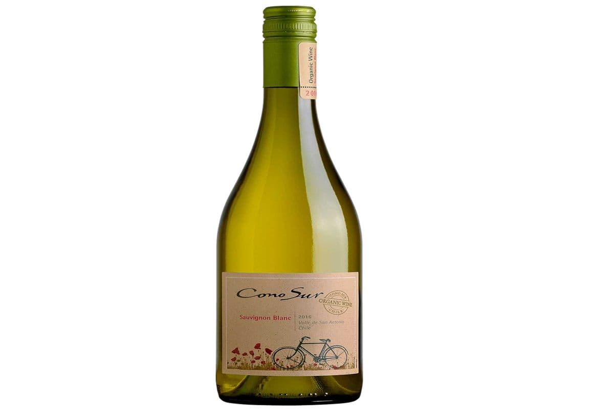 Cono Sur Organic Sauvignon Blanc 750ml (1 x 750ml)