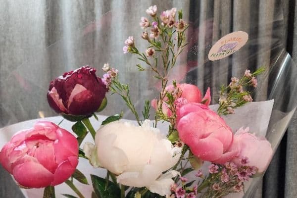 Peony and Wax Flowers