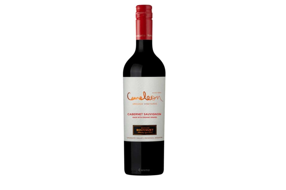 Cameleon Cabernet Sauvignon Organic (1 x 750 ml)