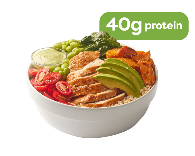 Macro Balanced Bowl 