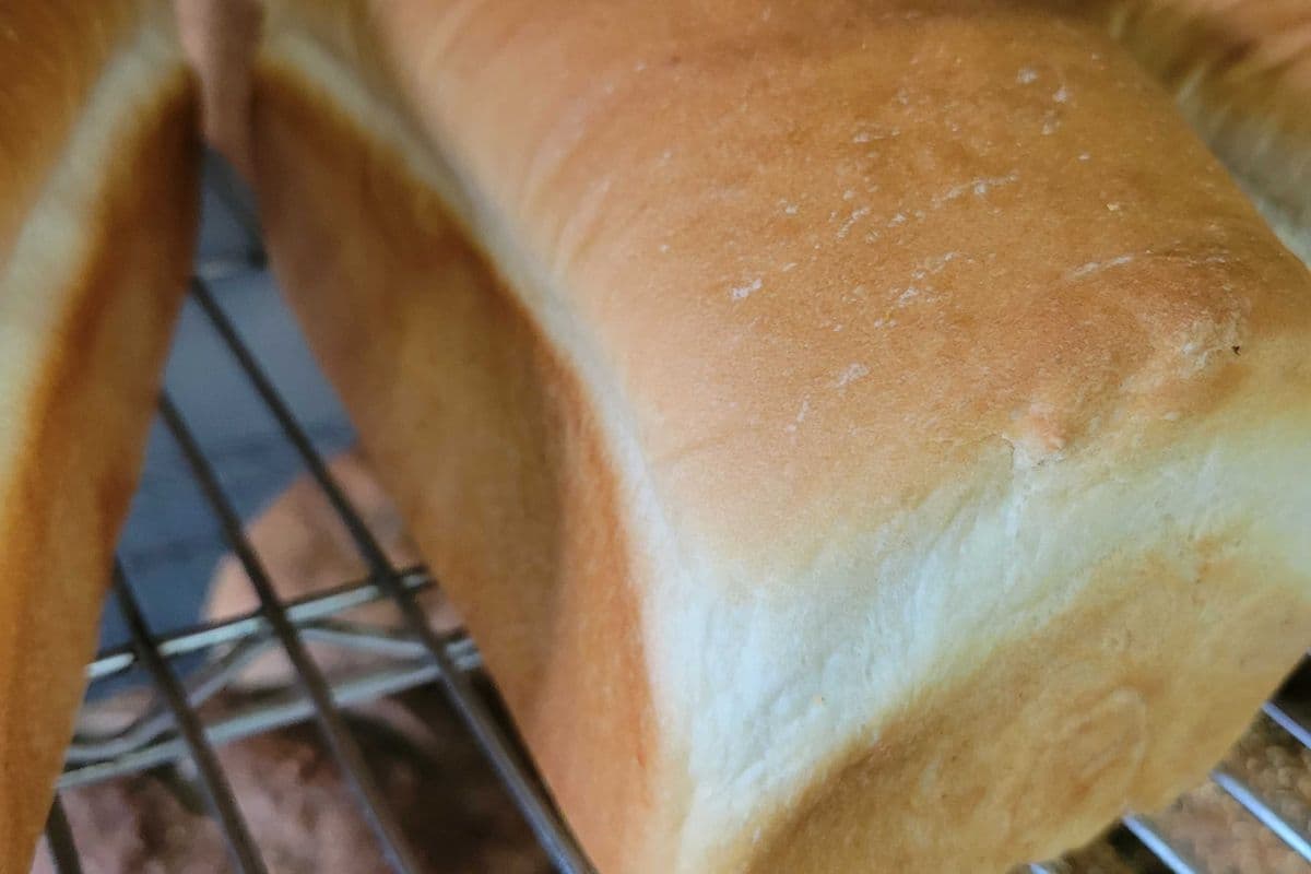 White Bread (16 oz)