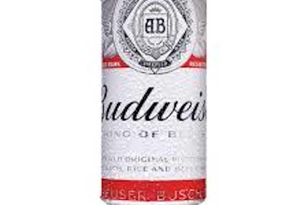 Budweiser 473ml can (1 x 473 ml)