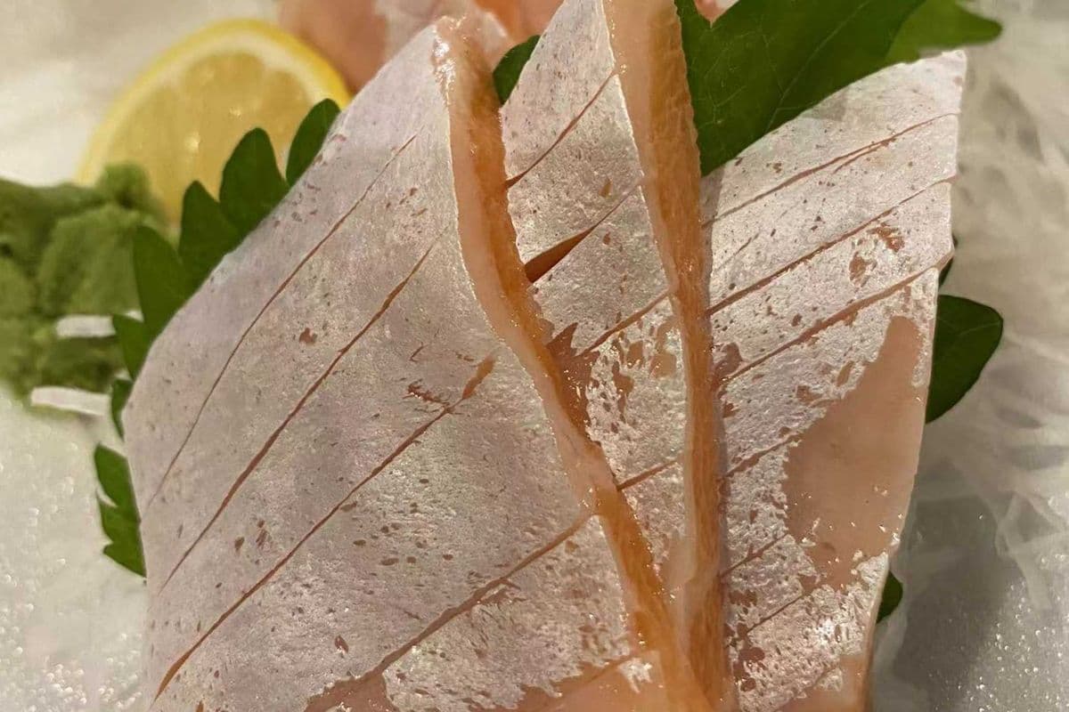 Salmon Belly Sashimi