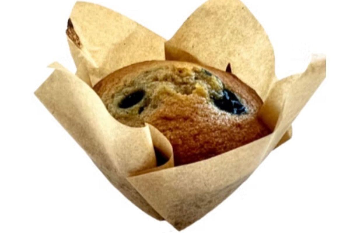 Blueberry Gluten Friendly Muffin