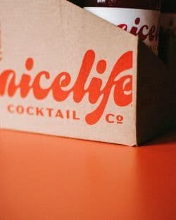 Nicelife Cocktail 473ml 6.9% abv