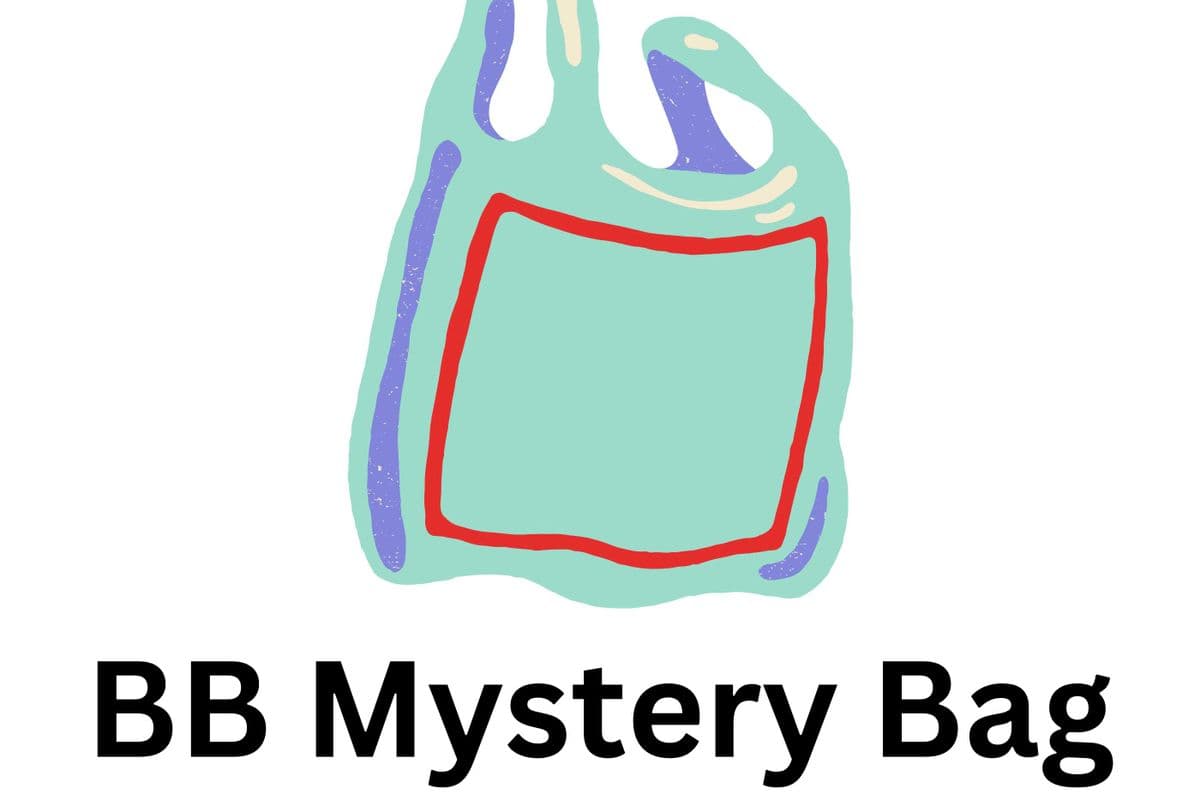 Dated Mystery Bag