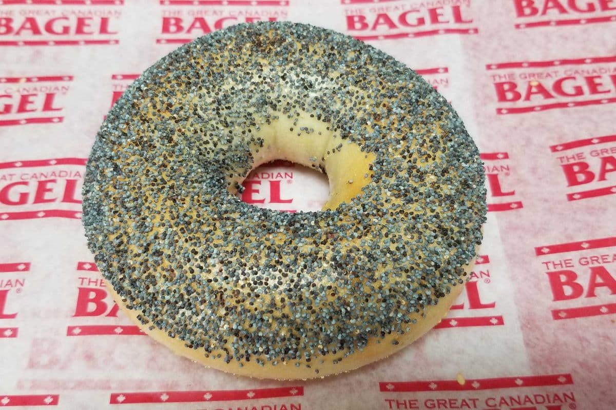 Poppy Seed Bagel