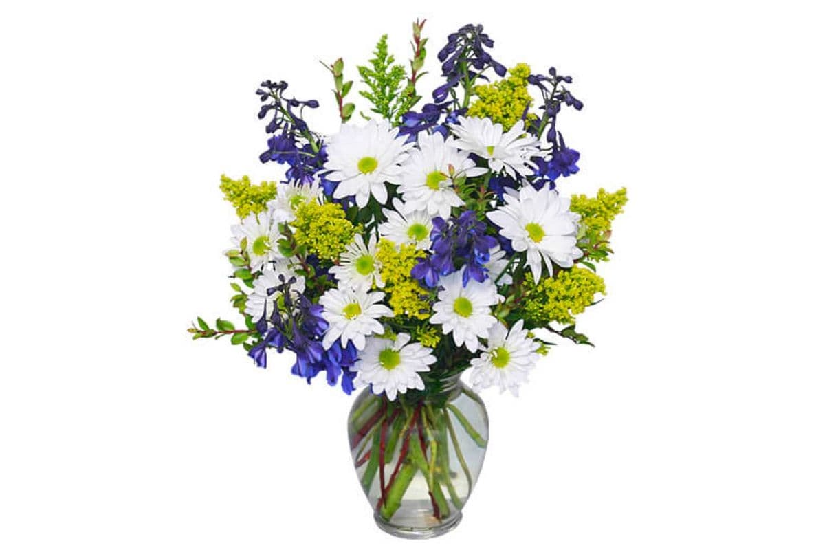 Lazy Daisy & Delphinium Just Because Flowers