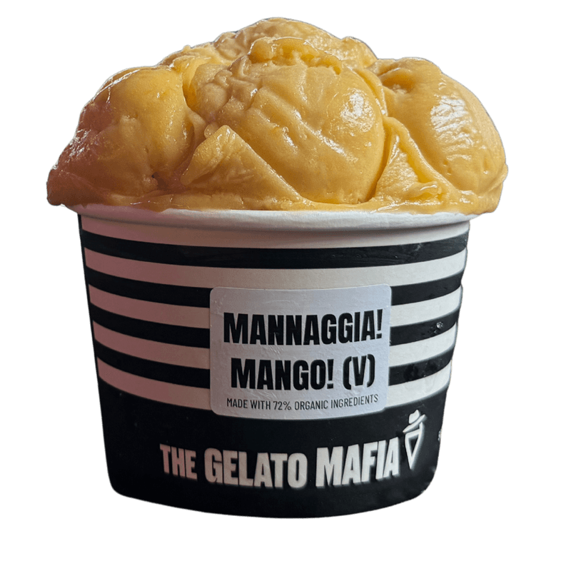 MANNAGGIA! MANGO! (V)