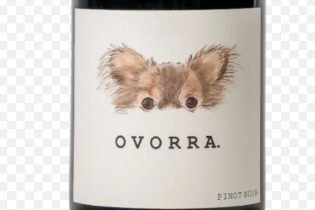 Ovorra Valle Pinot Noir (1 x 750ml)