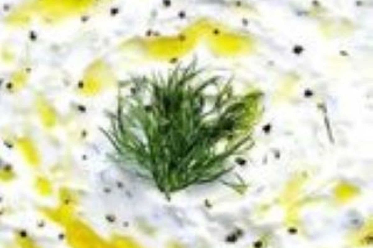 TZATZIKI With Pita