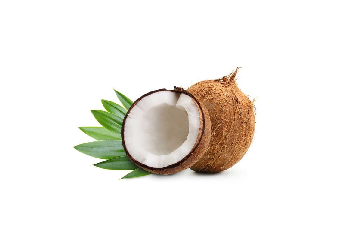 Coconut Sensation Milkshakes