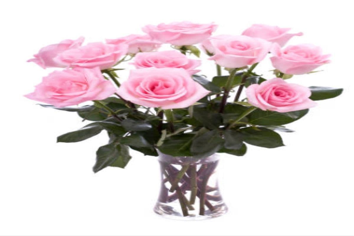 Blossoms of Adoration Pink